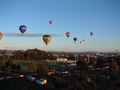 Festival des Montgolfieres - Hamilton