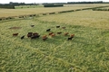 le plancher des vaches se rapproche