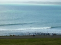 une des plages de Raglan....