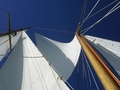Les voiles d'Arcturus