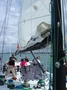 Team qui hisse la voile du LION