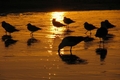 Dernier coucher pour 2007