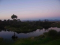 MIRANDA, COROMANDEL