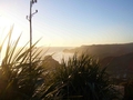 PIHA BEACH