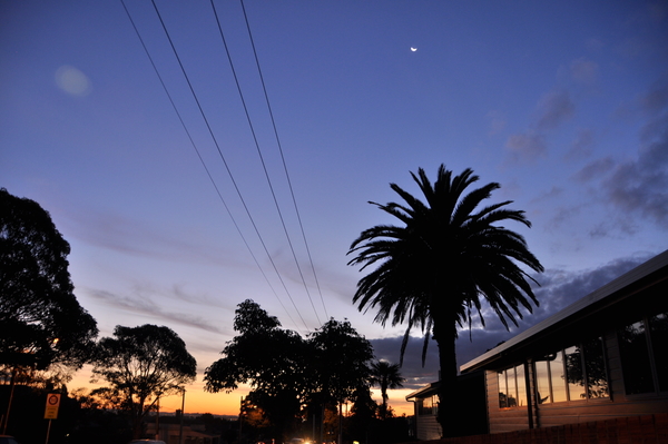 Ponsonby