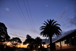 Ponsonby