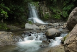 Waiau falls