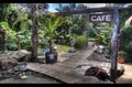 helena bay coffee