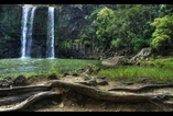whangarei falls