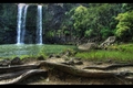 whangarei falls