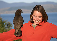 activite_kapiti-island