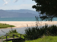 activite_waikato
