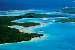 caledonie-ile-pins2