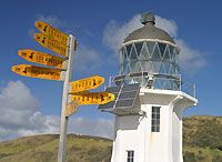 cape reinga