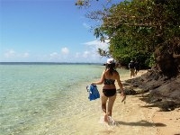 Trek Samoa Frogs in NZ