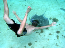 moorea-raies