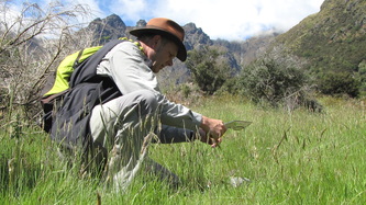 Queenstown_nature wild 