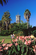 Auckland_albertpark