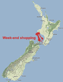 MAPS-shop_Welli