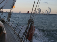 Auckland cité des voiles