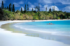 caledonie-ile-pins1