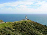 Cape Reinga