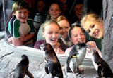 Christchurch Antartic centre