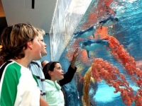 Christchurch antartic centre