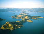 Coromandel1