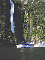 Fiordland1