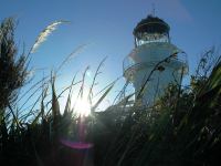 HSB Gisborne2