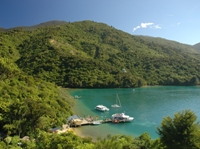 Marlborough sounds