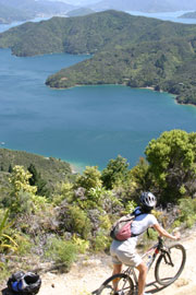 Marlborough_sounds4