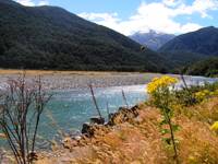 Mt aspiring river