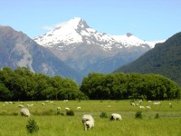 Mt Aspiring