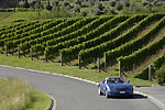 Napier vignobles