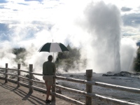 Rotorua geysers