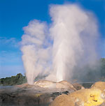 Rotorua2