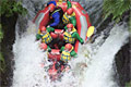 Rotorua4