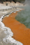 Rotorua_Waiotapu