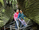 Te Anau Glow Worms