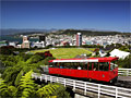 gmap_wellington