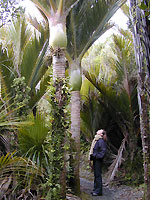 gmap_westcoast1