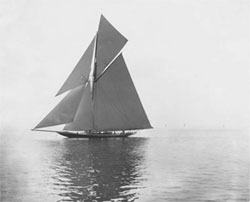 america-cup-Walkyrie
