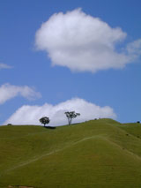 climat