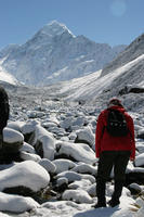 fellowship_mtcook
