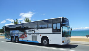 magic bus