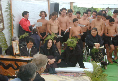 pompallier 2002