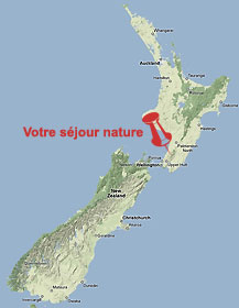Map Kapiti Nature Iti