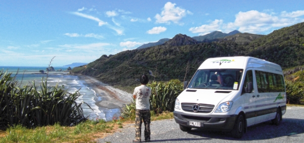 concours frogs in nz united campervan